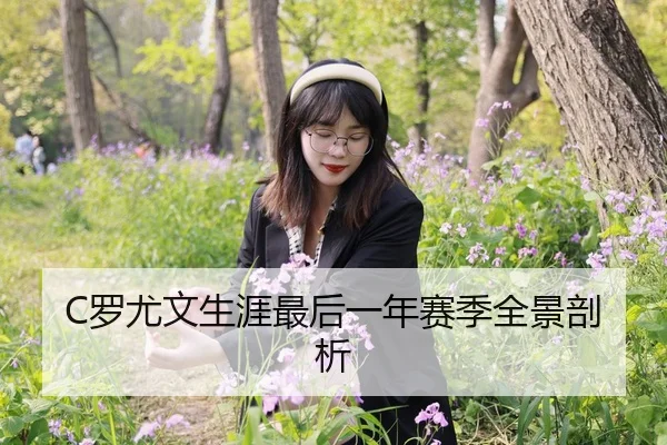 C罗尤文生涯最后一年赛季全景剖析
